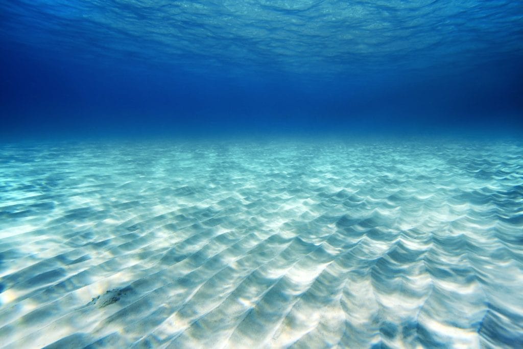 Sakarun beach snorkeling